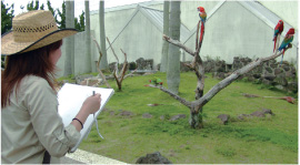 日本画科 美術研修旅行