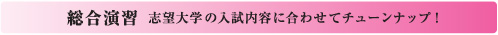 総合演習 