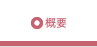 概要