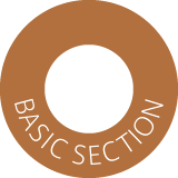 BASIC SECTION