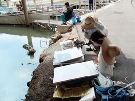昼間部 日本画科