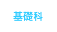 基礎科